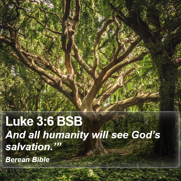 Luke 3:6 BSB Bible Study