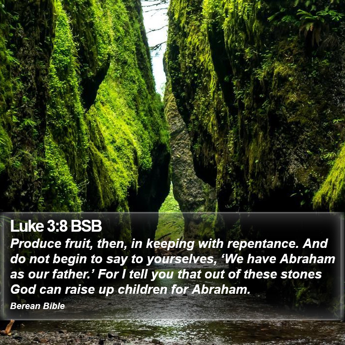 Luke 3:8 BSB Bible Study