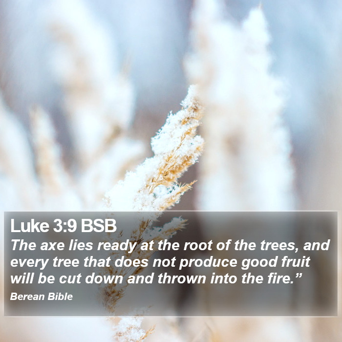 Luke 3:9 BSB Bible Study