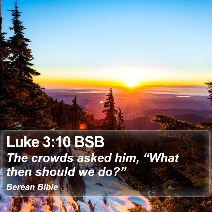 Luke 3:10 BSB Bible Study