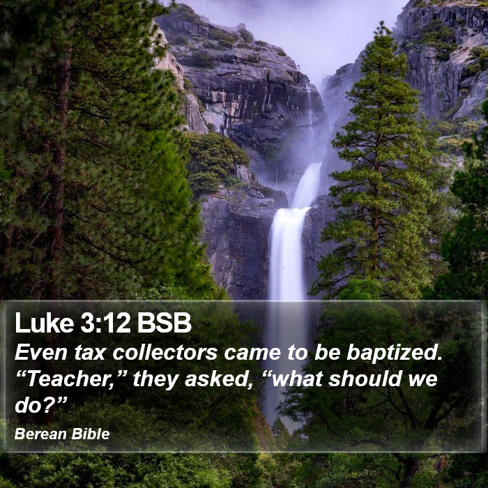 Luke 3:12 BSB Bible Study