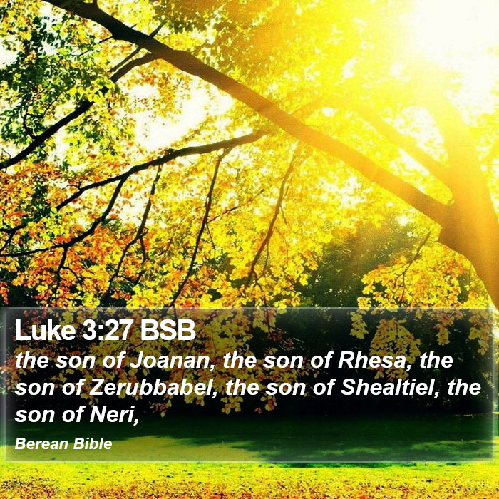 Luke 3:27 BSB Bible Study