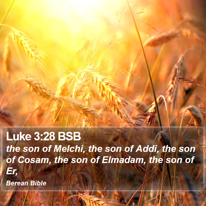 Luke 3:28 BSB Bible Study