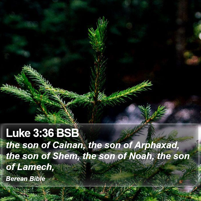 Luke 3:36 BSB Bible Study