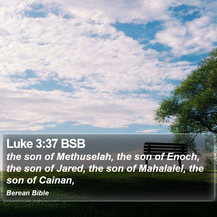 Luke 3:37 BSB Bible Study