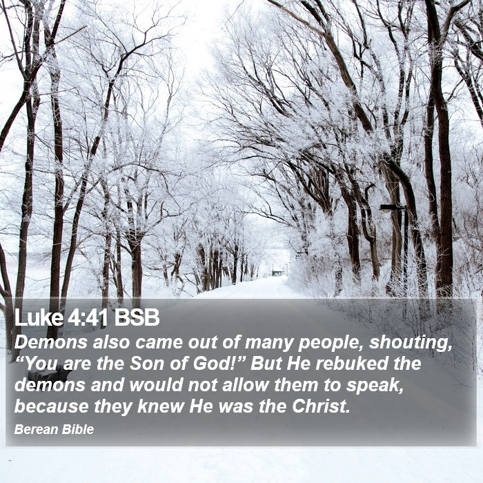 Luke 4:41 BSB Bible Study