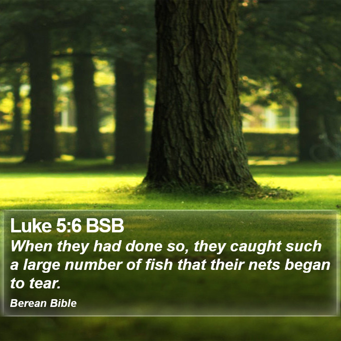 Luke 5:6 BSB Bible Study