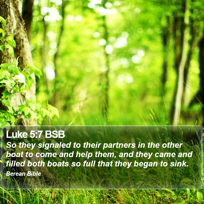 Luke 5:7 BSB Bible Study