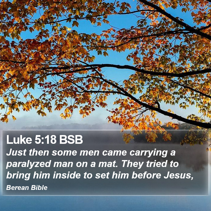 Luke 5:18 BSB Bible Study