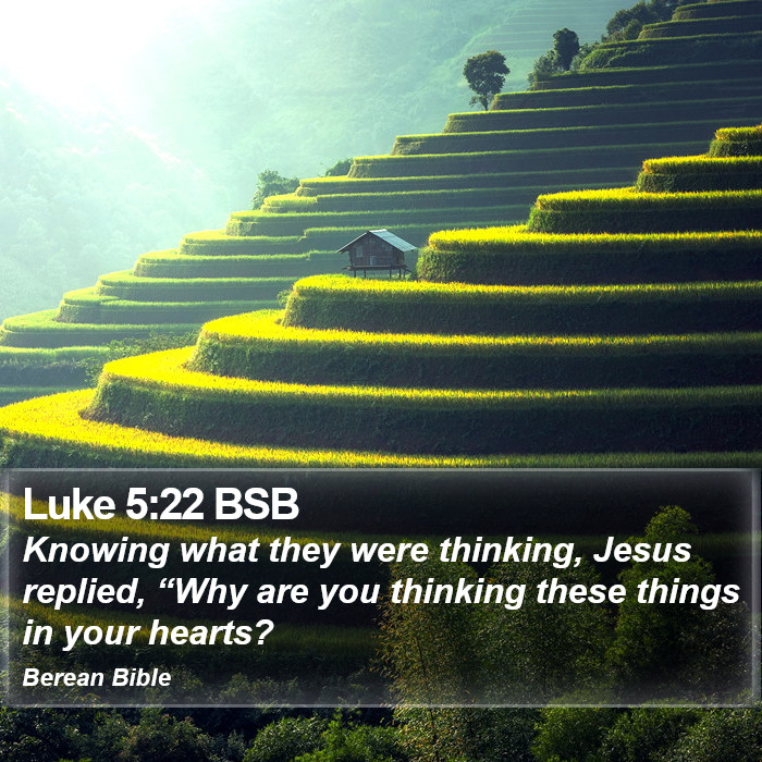 Luke 5:22 BSB Bible Study