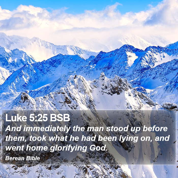 Luke 5:25 BSB Bible Study