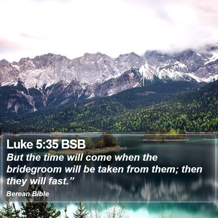 Luke 5:35 BSB Bible Study