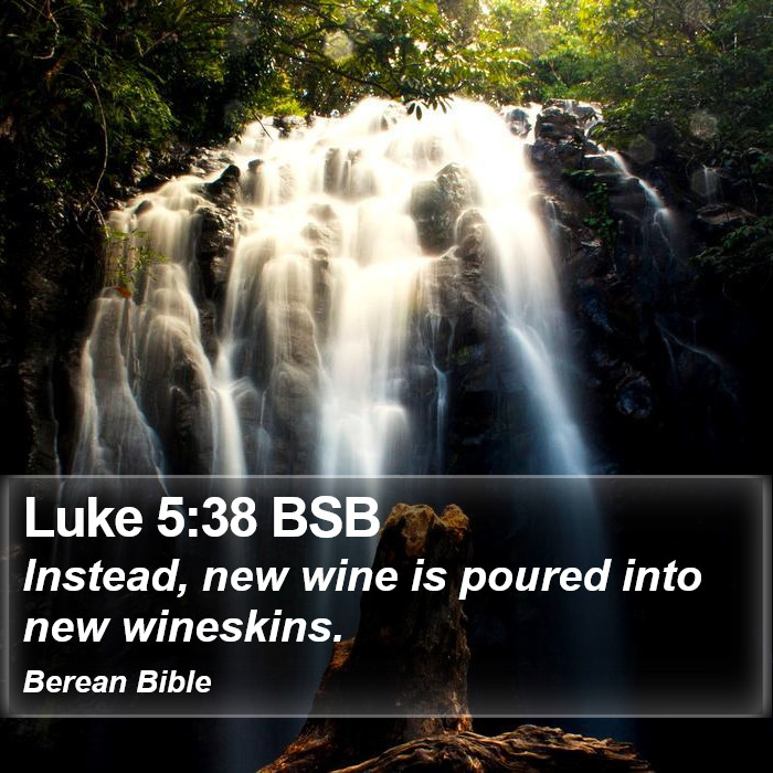 Luke 5:38 BSB Bible Study