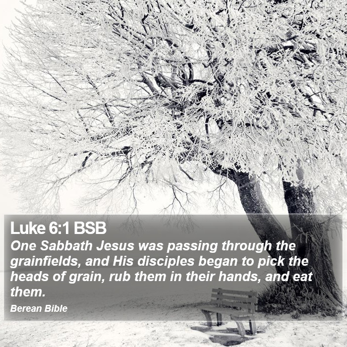 Luke 6:1 BSB Bible Study