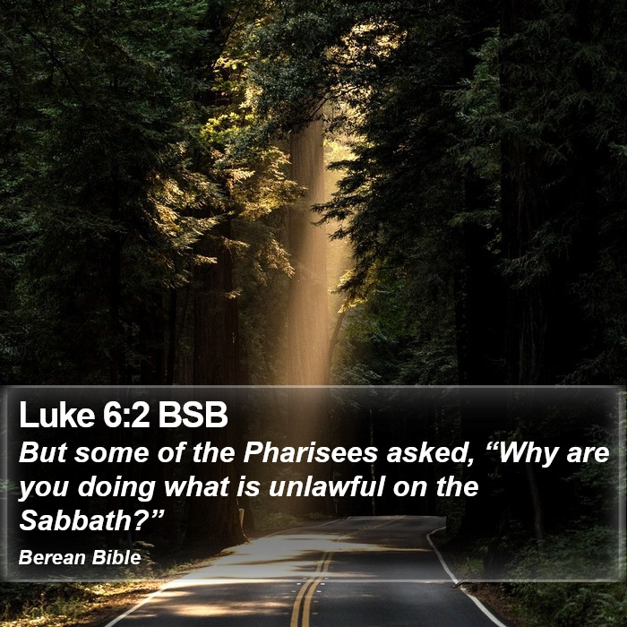 Luke 6:2 BSB Bible Study