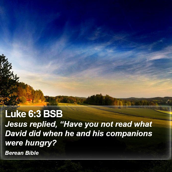 Luke 6:3 BSB Bible Study