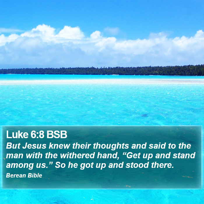 Luke 6:8 BSB Bible Study