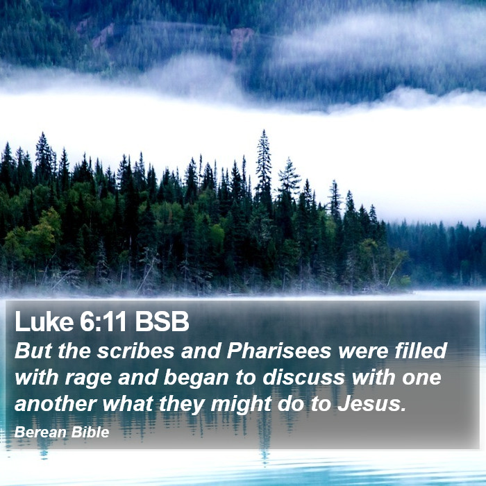 Luke 6:11 BSB Bible Study