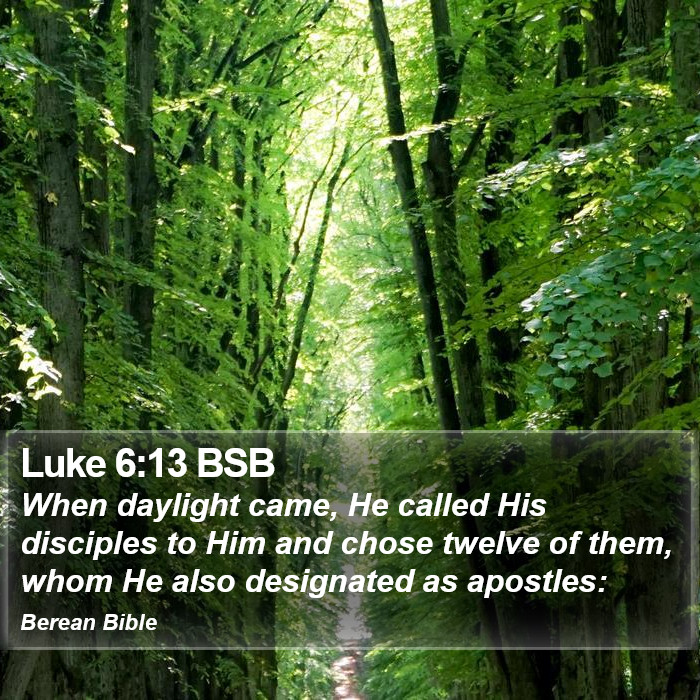 Luke 6:13 BSB Bible Study