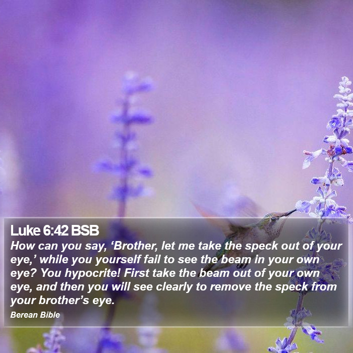 Luke 6:42 BSB Bible Study