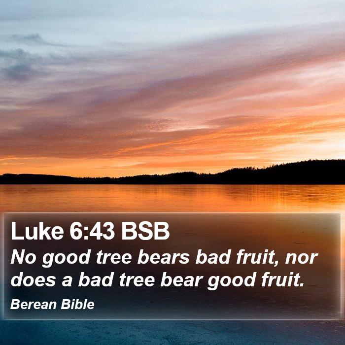 Luke 6:43 BSB Bible Study