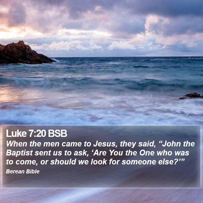 Luke 7:20 BSB Bible Study