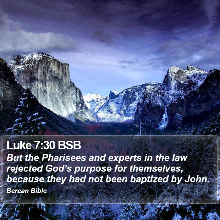 Luke 7:30 BSB Bible Study