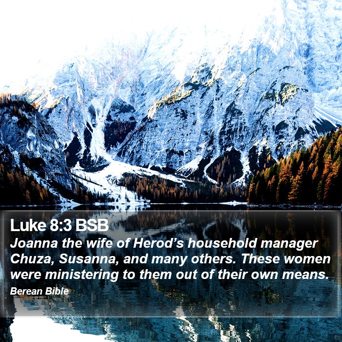 Luke 8:3 BSB Bible Study