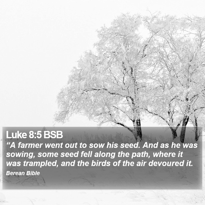 Luke 8:5 BSB Bible Study