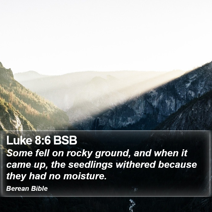 Luke 8:6 BSB Bible Study