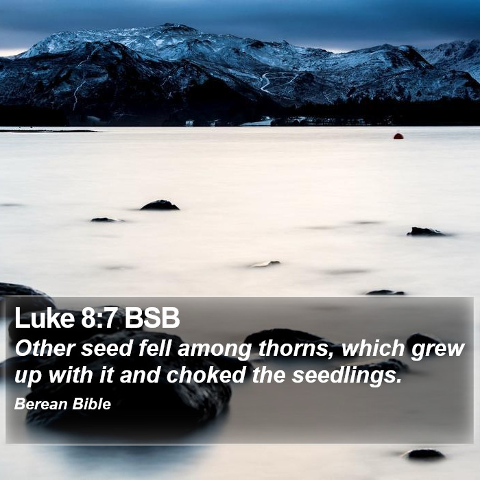 Luke 8:7 BSB Bible Study