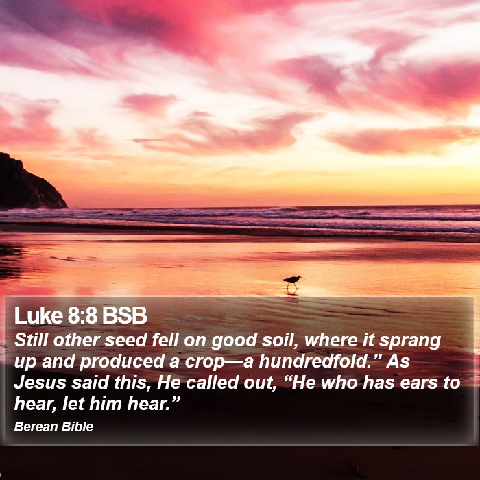 Luke 8:8 BSB Bible Study