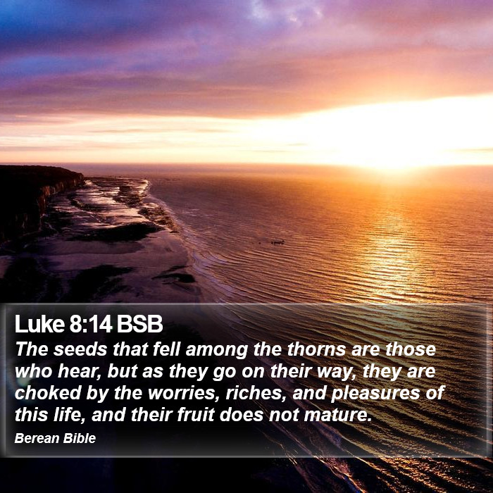 Luke 8:14 BSB Bible Study