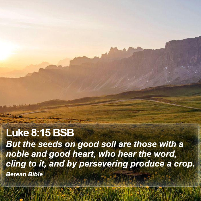 Luke 8:15 BSB Bible Study