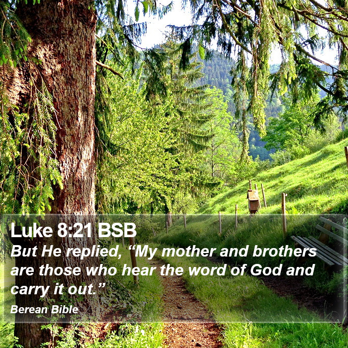 Luke 8:21 BSB Bible Study