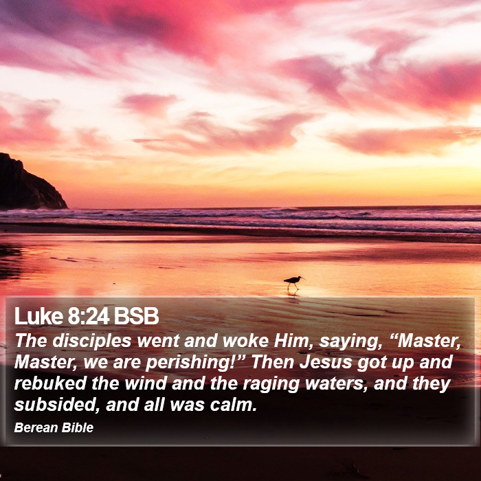 Luke 8:24 BSB Bible Study