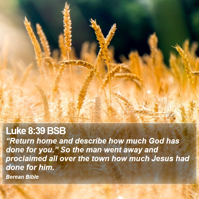 Luke 8:39 BSB Bible Study