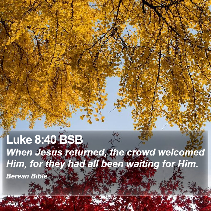 Luke 8:40 BSB Bible Study