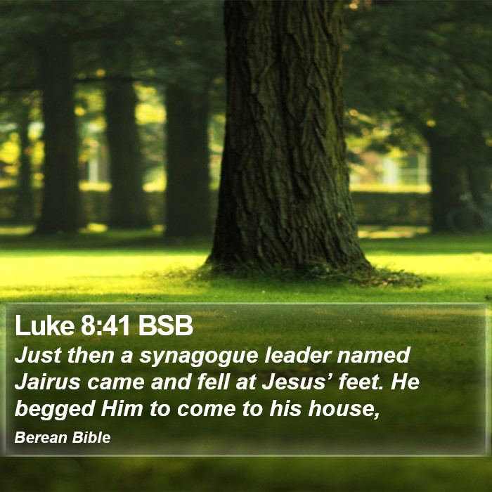 Luke 8:41 BSB Bible Study