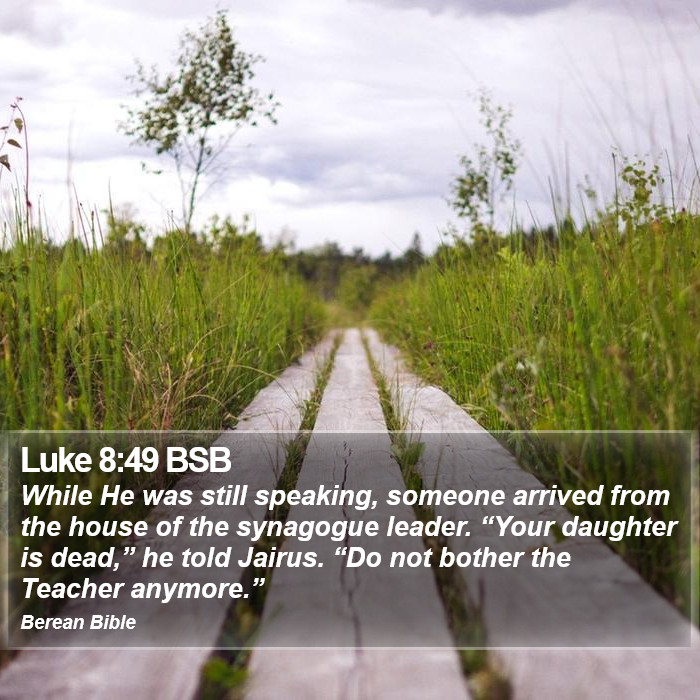 Luke 8:49 BSB Bible Study