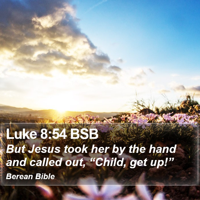 Luke 8:54 BSB Bible Study