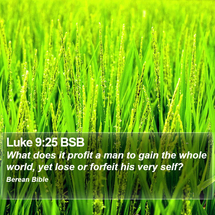 Luke 9:25 BSB Bible Study