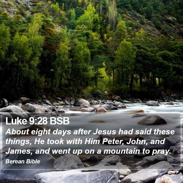 Luke 9:28 BSB Bible Study