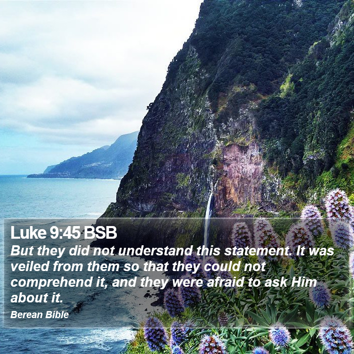 Luke 9:45 BSB Bible Study