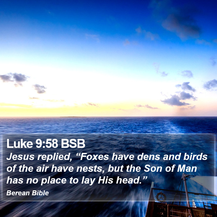 Luke 9:58 BSB Bible Study