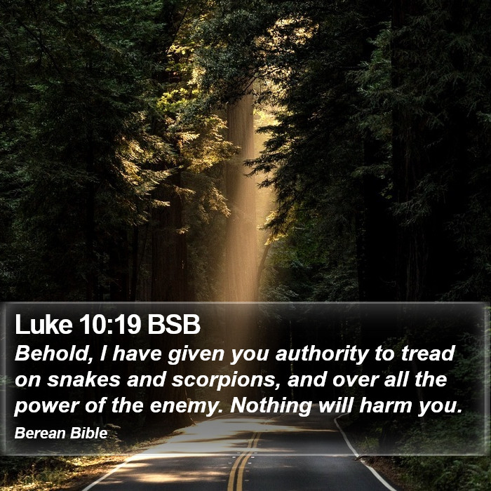 Luke 10:19 BSB Bible Study