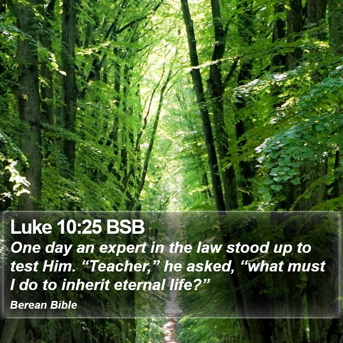 Luke 10:25 BSB Bible Study