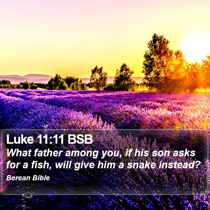 Luke 11:11 BSB Bible Study