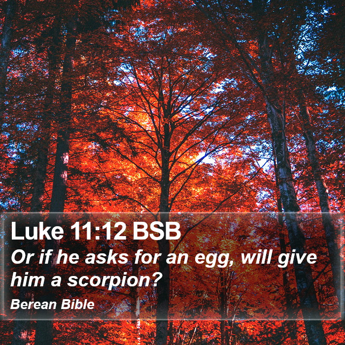 Luke 11:12 BSB Bible Study