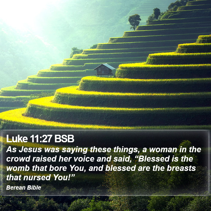 Luke 11:27 BSB Bible Study